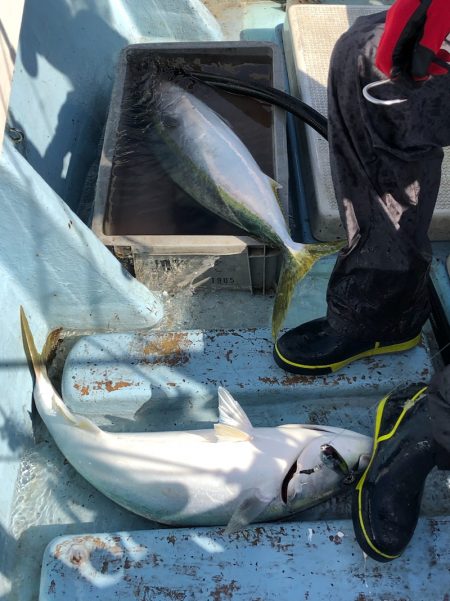 あみや渡船 JIGBOY 釣果