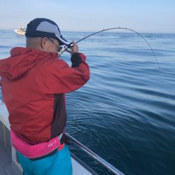 ビッグファイター 釣果