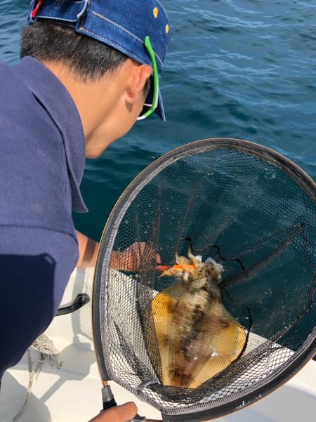 「LaGooN」蒼陽丸 日和号　 釣果