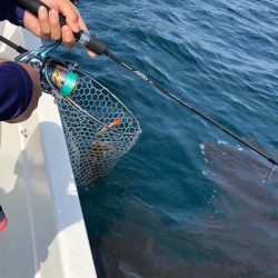 「LaGooN」蒼陽丸 日和号　 釣果