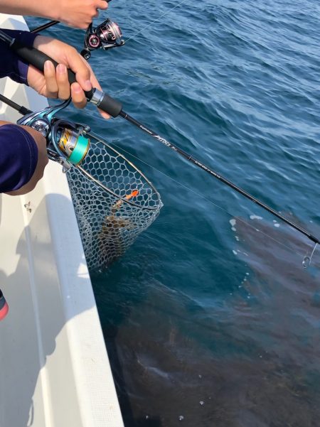 「LaGooN」蒼陽丸 日和号　 釣果