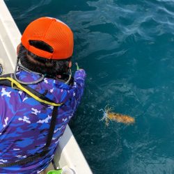 「LaGooN」蒼陽丸 日和号　 釣果