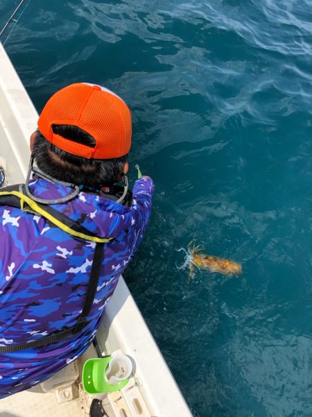 「LaGooN」蒼陽丸 日和号　 釣果
