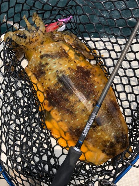 「LaGooN」蒼陽丸 日和号　 釣果