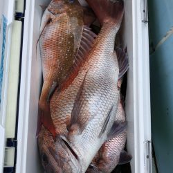 第二八坂丸 釣果