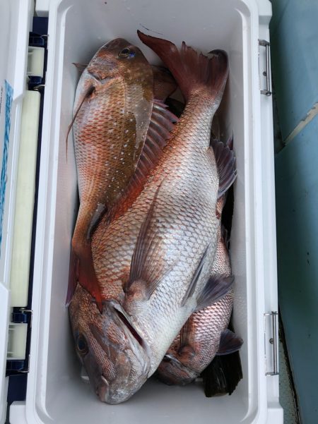 第二八坂丸 釣果