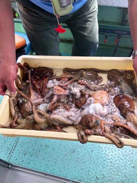 ヤザワ渡船 釣果