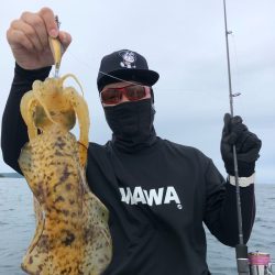 「LaGooN」蒼陽丸 日和号 釣果