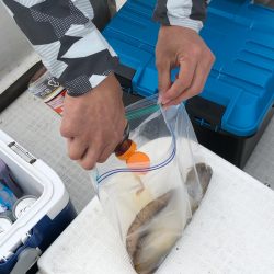 「LaGooN」蒼陽丸 日和号 釣果