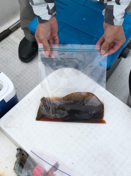 「LaGooN」蒼陽丸 日和号 釣果