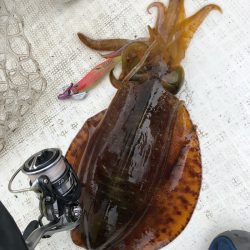 「LaGooN」蒼陽丸 日和号 釣果