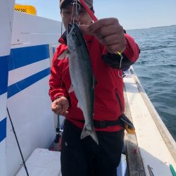 第二 つれたか丸 釣果