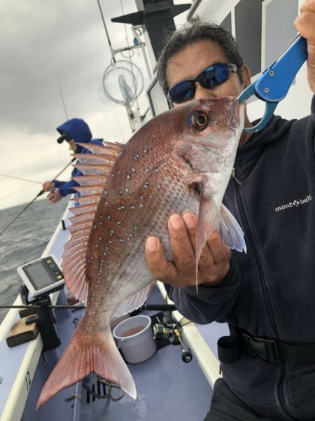 新幸丸 釣果