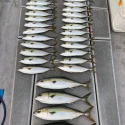 SeaRide(シーライド) 釣果