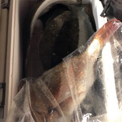 第二八坂丸 釣果