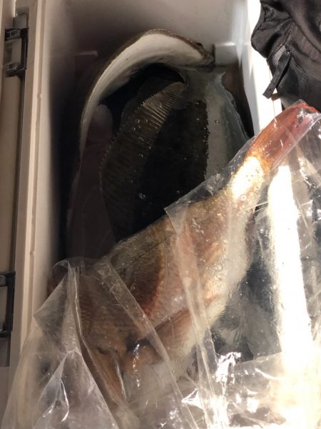 第二八坂丸 釣果