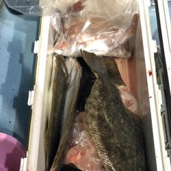 第二八坂丸 釣果