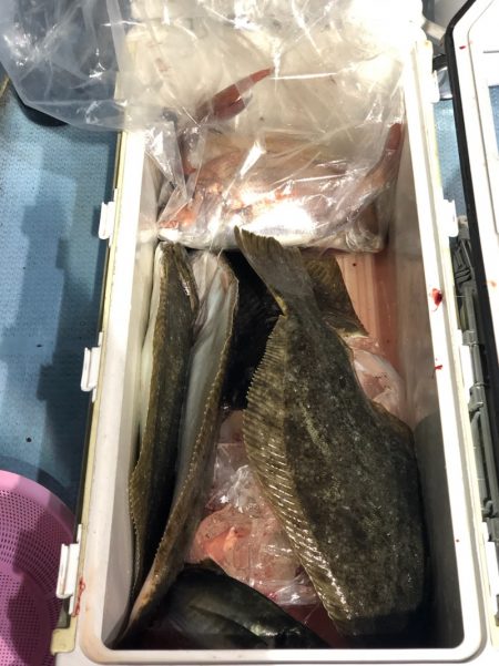 第二八坂丸 釣果