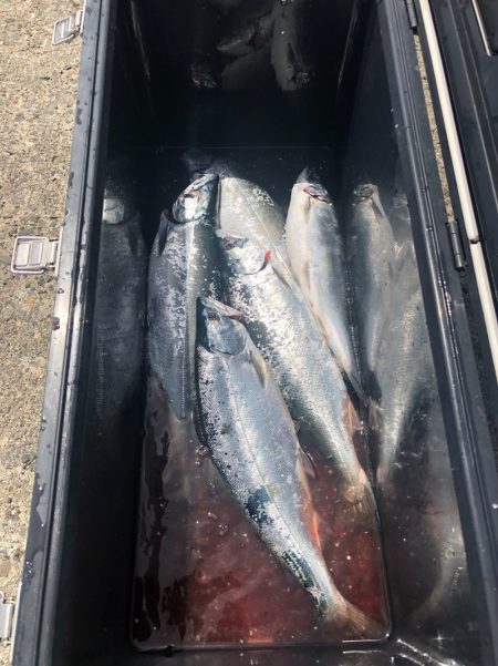 第二　つれたか丸 釣果