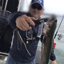 遊漁船メテオ 釣果