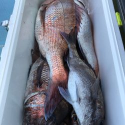 第二八坂丸 釣果