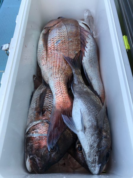 第二八坂丸 釣果