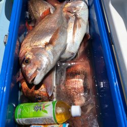 第二八坂丸 釣果