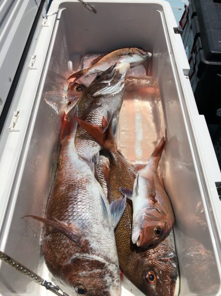 第二八坂丸 釣果