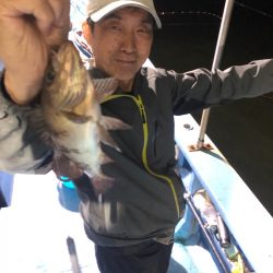 ヤザワ渡船 釣果
