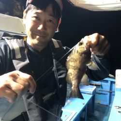 ヤザワ渡船 釣果