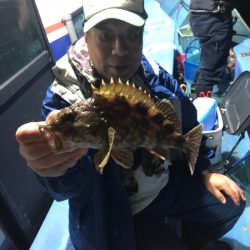 ヤザワ渡船 釣果