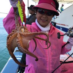 ヤザワ渡船 釣果