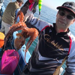 ヤザワ渡船 釣果