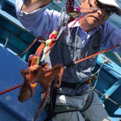 ヤザワ渡船 釣果