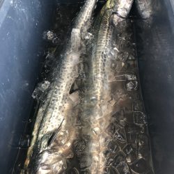 ぽん助丸 釣果