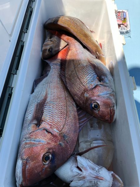 第二八坂丸 釣果