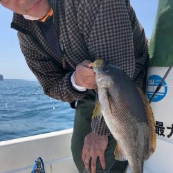 「LaGooN」蒼陽丸 日和号 釣果