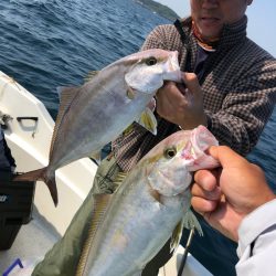 「LaGooN」蒼陽丸 日和号 釣果