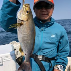 「LaGooN」蒼陽丸 日和号 釣果