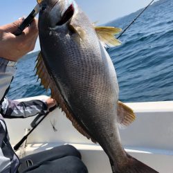 「LaGooN」蒼陽丸 日和号 釣果