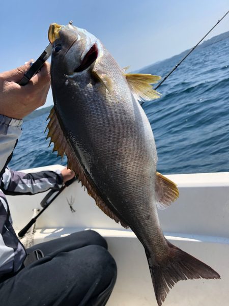 「LaGooN」蒼陽丸 日和号 釣果