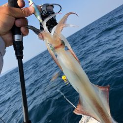 「LaGooN」蒼陽丸 日和号 釣果