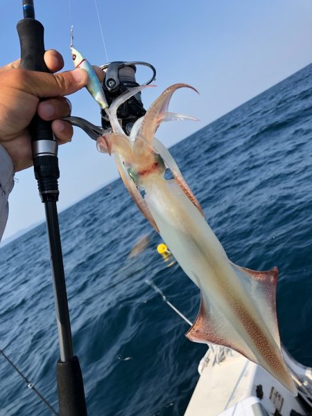 「LaGooN」蒼陽丸 日和号 釣果