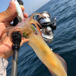 「LaGooN」蒼陽丸 日和号 釣果