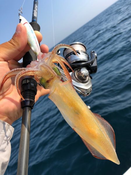 「LaGooN」蒼陽丸 日和号 釣果