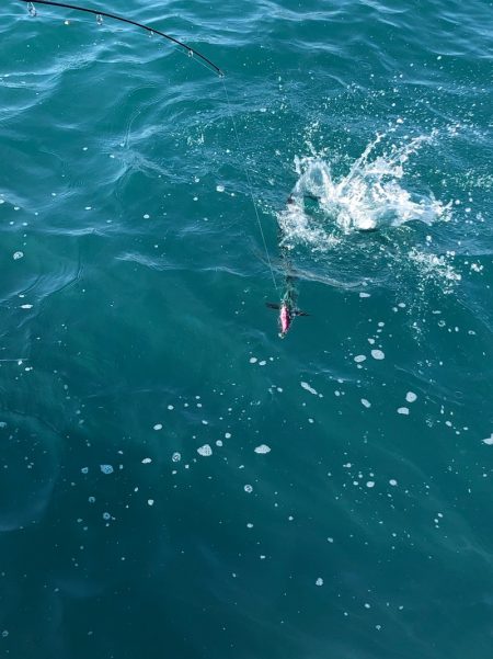 あみや渡船 JIGBOY 釣果