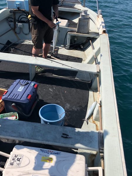 あみや渡船 JIGBOY 釣果