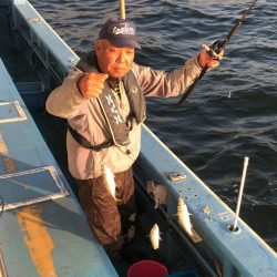 ヤザワ渡船 釣果