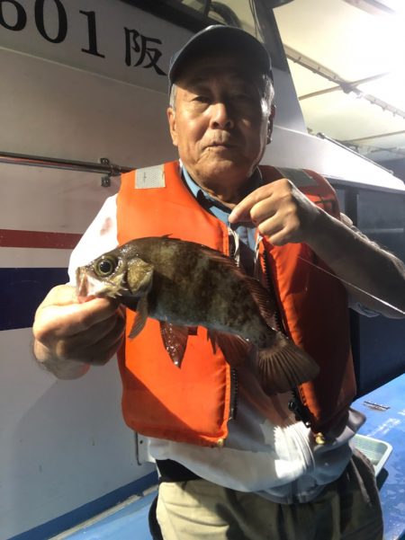 ヤザワ渡船 釣果