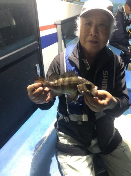 ヤザワ渡船 釣果